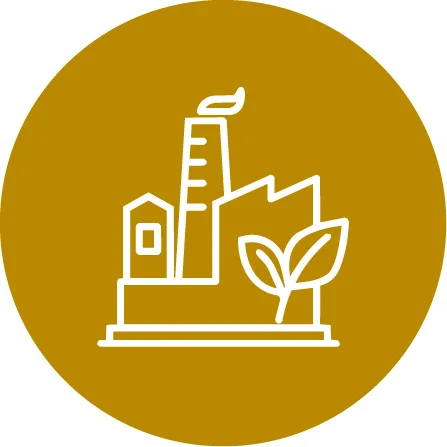 Innovation & Translational Research for Industry