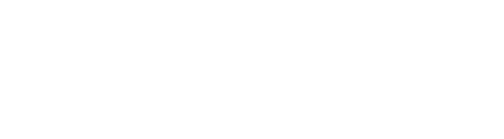 MSE Logo